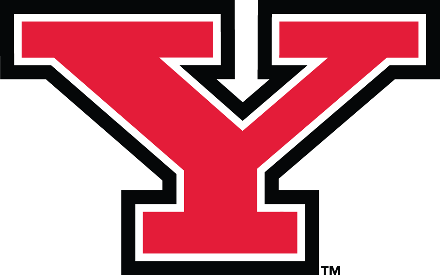 Youngstown State Penguins 2006-Pres Primary Logo vinyl decal